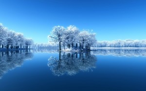 Winter Wonderland