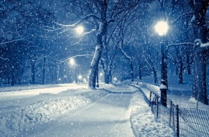 Winter Wonderland