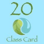 20 CLASS CARD
