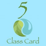 5 CLASS CARD