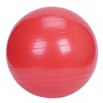 EXERCISE BALL