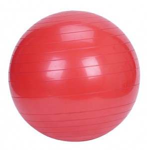 EXERCISE BALL