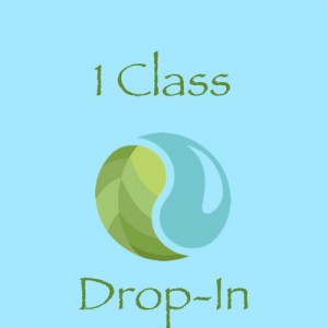 1 CLASS DROP-IN