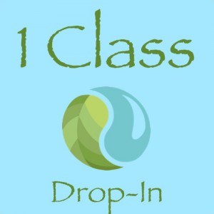 1 CLASS DROP IN
