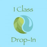 1 CLASS DROP-IN