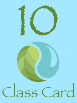 10 Class Card