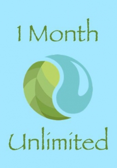 1 Month Unlimited