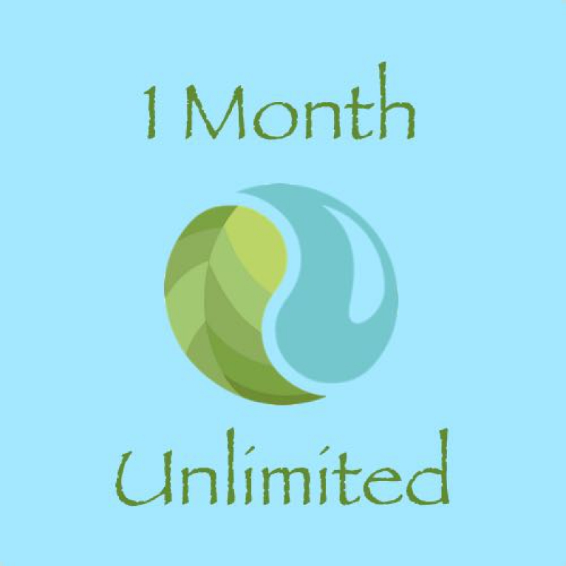 1 Month Unlimited