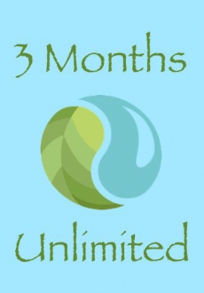 3 Months Unlimited