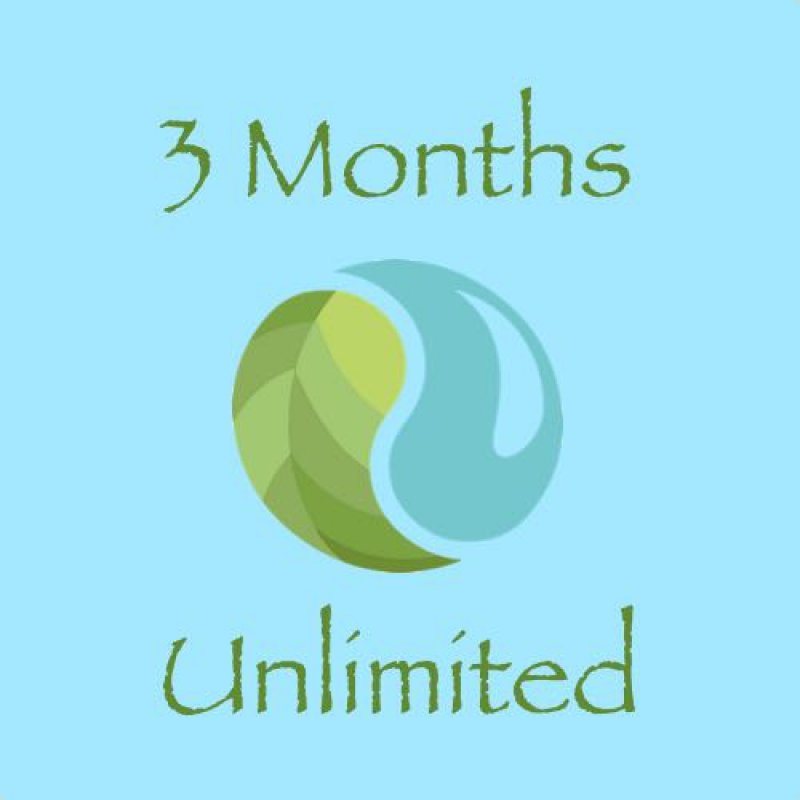 3 Months Unlimited