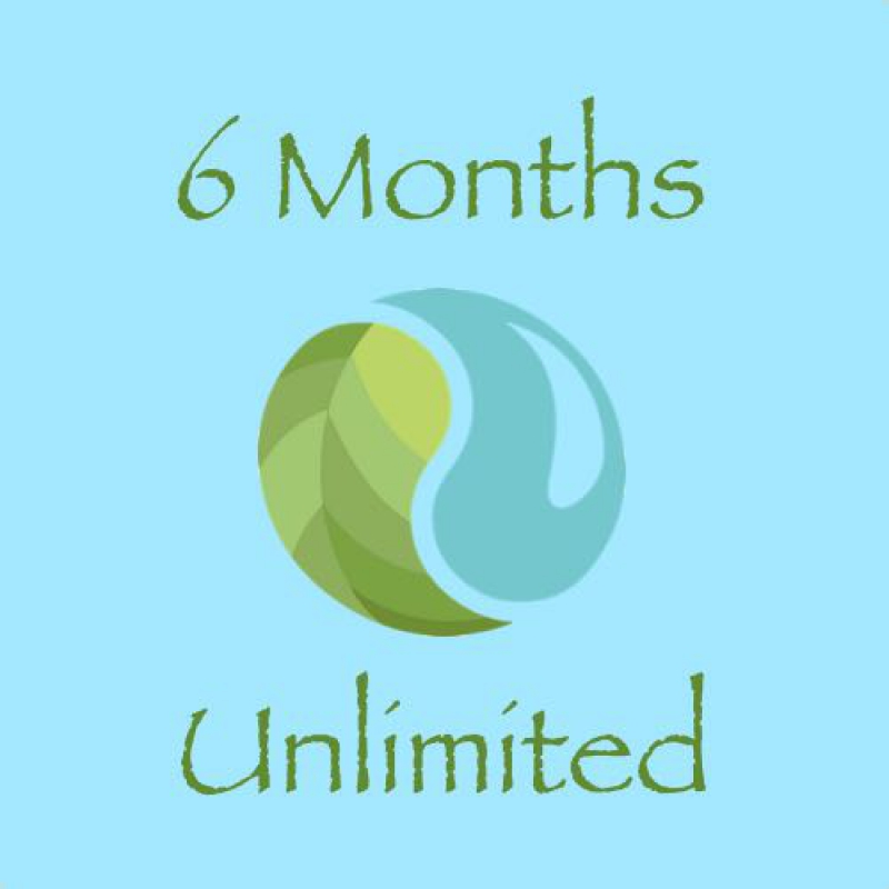 6 Months Unlimited