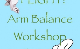 Flight! Arm Balance Workshop